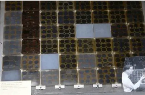 湖北EBET易博绿色能源有限公司