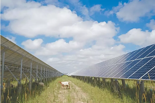 湖北EBET易博绿色能源有限公司