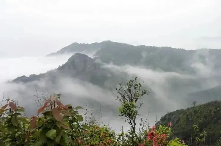 湖北EBET易博绿色能源有限公司