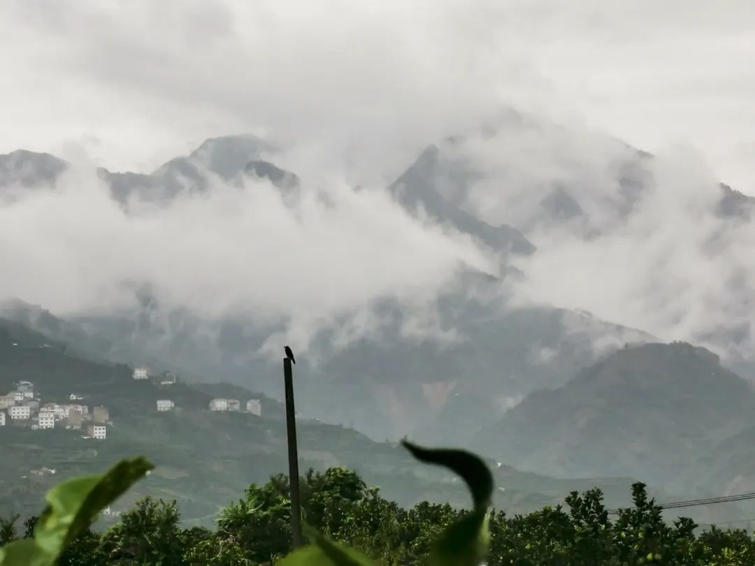 湖北EBET易博绿色能源有限公司